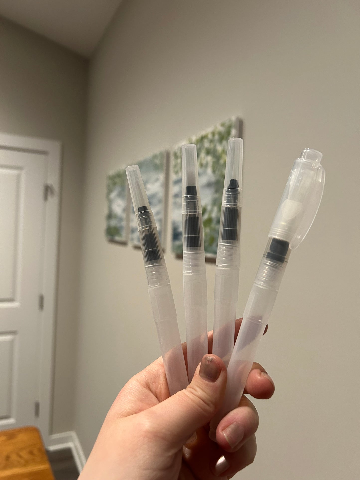 Water brush (mystery pick)