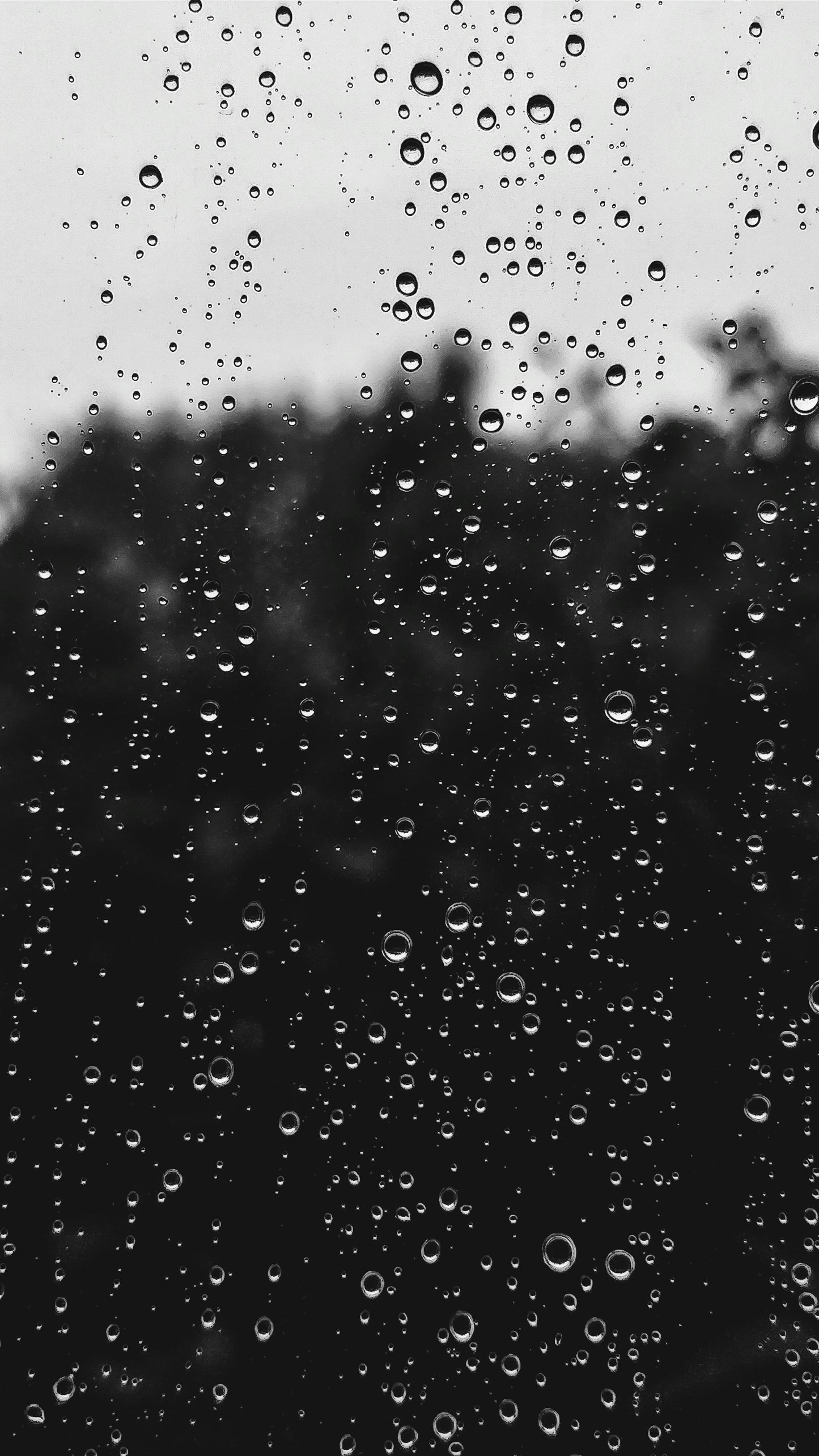 The Rain Method PDF resource