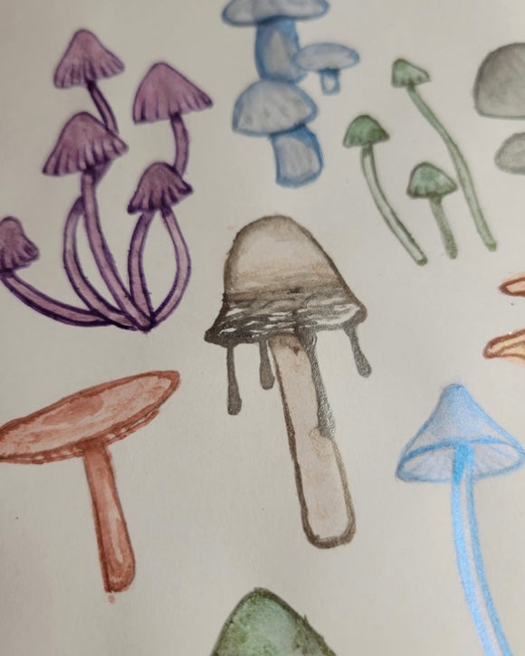 Painting Mushrooms - from guest blogger Diana Perez